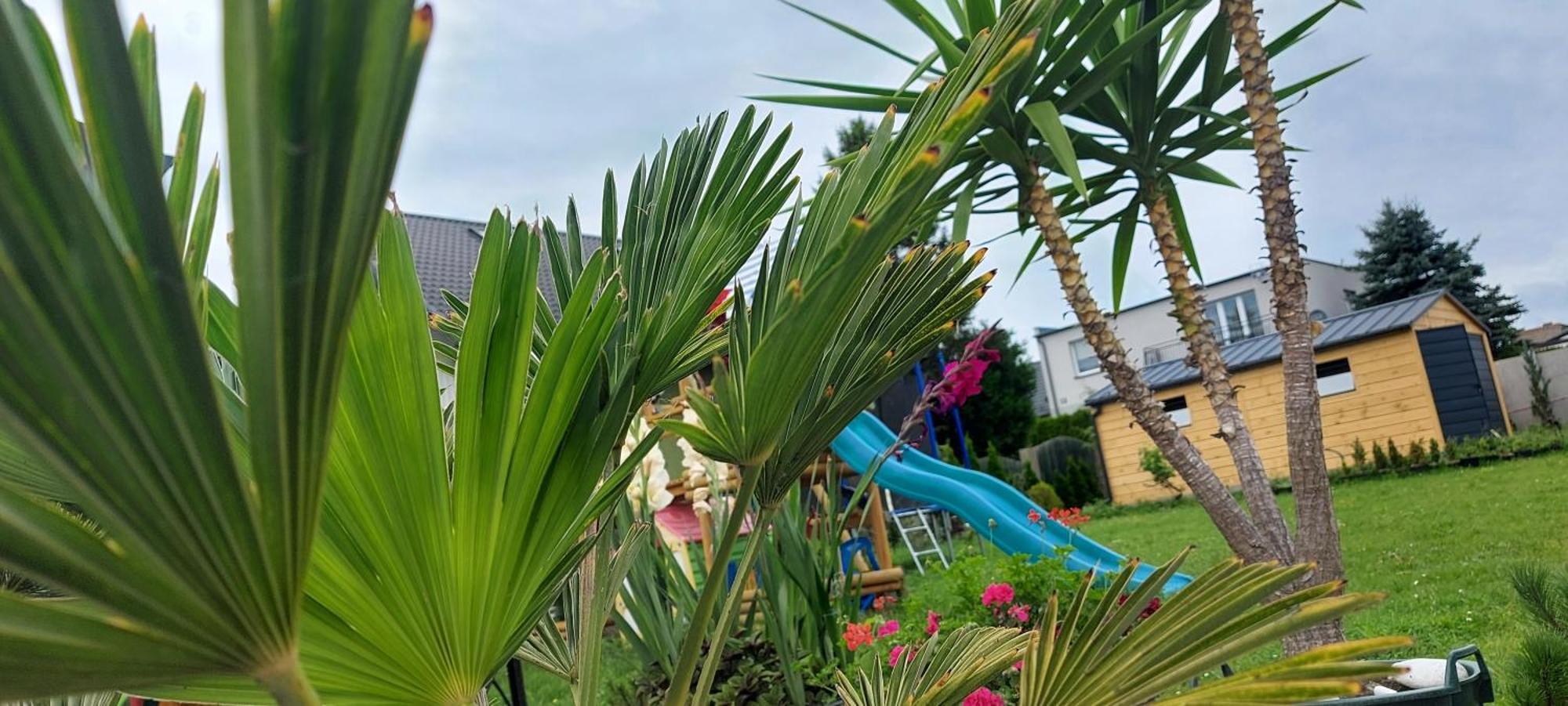 Pokoje Goscinne Jutrzenka Swarzewo Extérieur photo